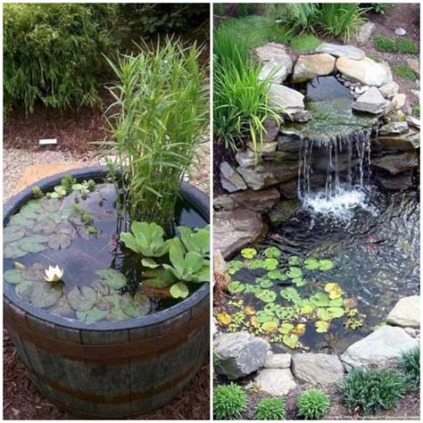 Lagos De Jardim Para Decora O E Lazer Como Plantar E Cuidar