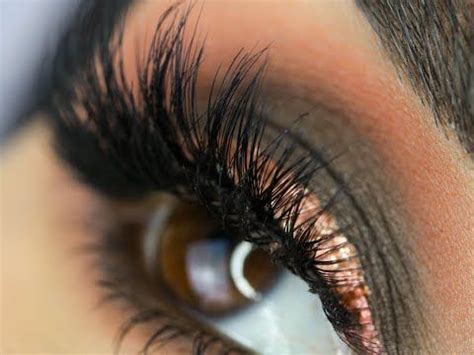 Urban Decay Naked Reloaded Eyeshadow Tutorial Sal Qu Urban Decay Naked Eyeshadow Tutorial