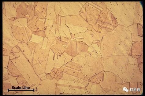 铜及铜合金的金相图谱大全 钢铁知识 常州精密钢管博客网