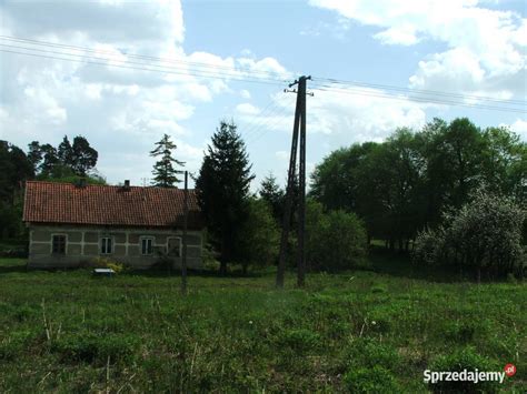 Sprzedam siedlisko na działce na Mazurach Nowa cena Jany