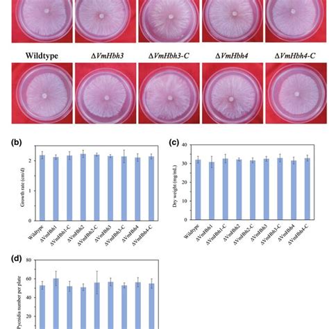 Colony Morphology And Growth Of The Wildtype Strain And Vmhbh Deletion