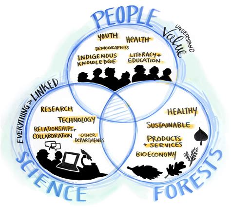 Venn Diagram - Fuselight Creative