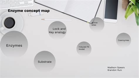 Enzymes Concept Map By Brandon Ruiz Gonzales