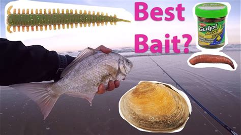 Oregon Coast Surf Fishing Which Bait Work Best Youtube