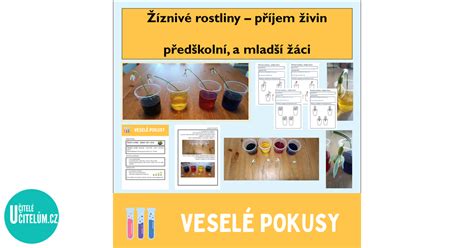 Veselé Pokusy žíznivé Rostliny Příjem živin Pracovní činnosti