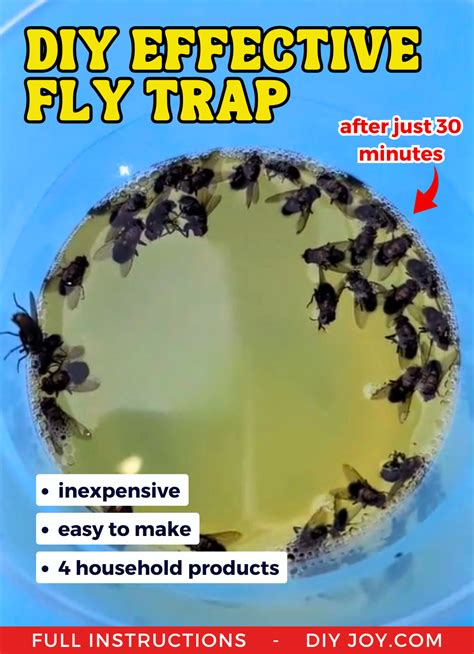 DIY Effective Fly Trap