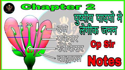 Chapter 2 Class 12 पादपों में लैंगिक जनन पुष्प की संरचना Sexual