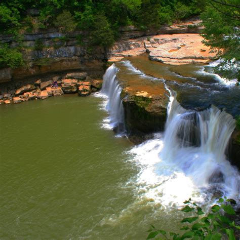 Se Permiten Perros En Cataract Falls Indiana