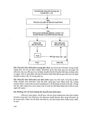 Sgk Nhi C V Ng Da S Sinh R T Hay Nh Pdf