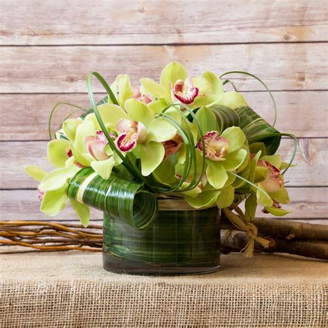 CYMBIDIUM ORCHID ARRANGEMENT by Flowers by Philip