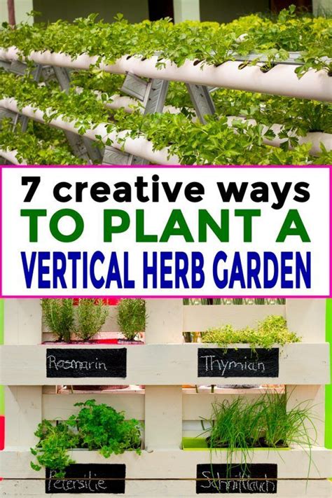 The Vertical Herb Garden Is An Easy Way To Grow Herbs In Containers And