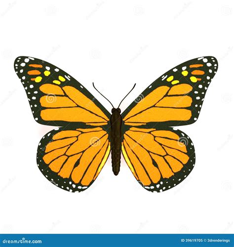 3d Render Of Butterfly Stock Illustration Illustration Of Butterfly