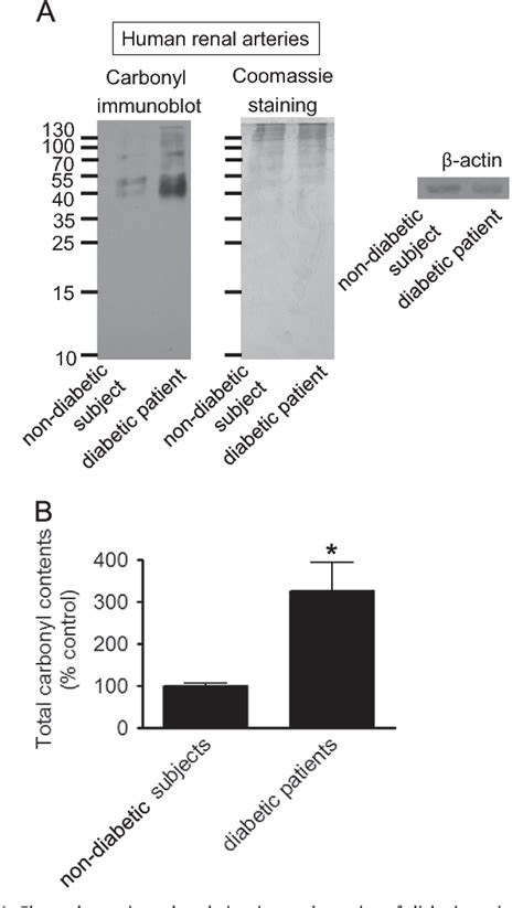 Bone Morphogenic Protein Induced Oxidant Signaling Via Protein