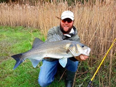 P Che Du Bar En Bretagne Celticfishing