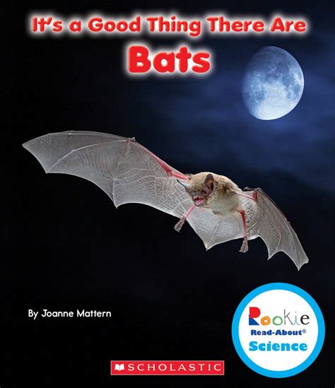 Favorite Bat Books For Kids Fantastic Fun And Learning