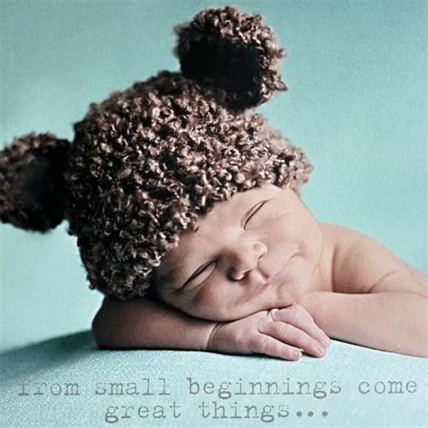 small beginnings  potting shed