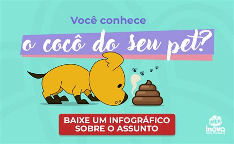 Coprofagia Por Que Os Pets Desenvolvem Inova Veterin Ria