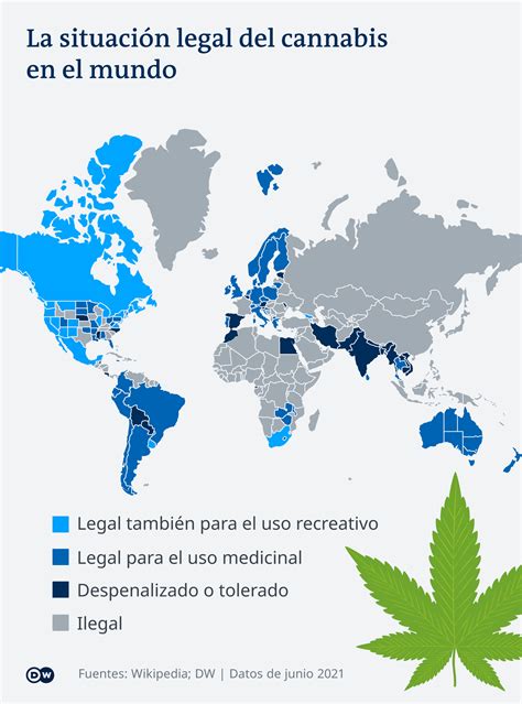 Expertos Beneficios Y Riesgos De La Legalización Del Cannabis Nuevo Poder