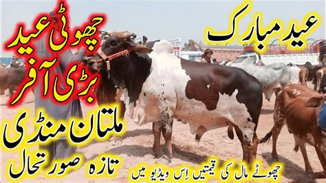 Multan Cow Mandi Latest Update Eid Mubarak Choti Eid Bari