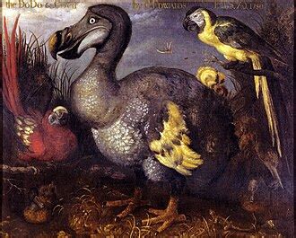 Dodo - Wikipedia