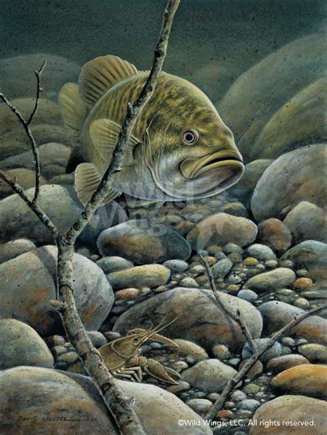 David Wenzel Original Acrylic Painting Confrontation Smallmouth Bass David Wenzel