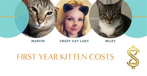 First Year Kitten Costs