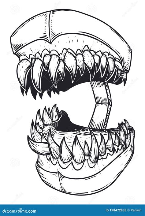 Drawing of Fierce Teeth Model with Sharp Teeth, Vector Illustration ...