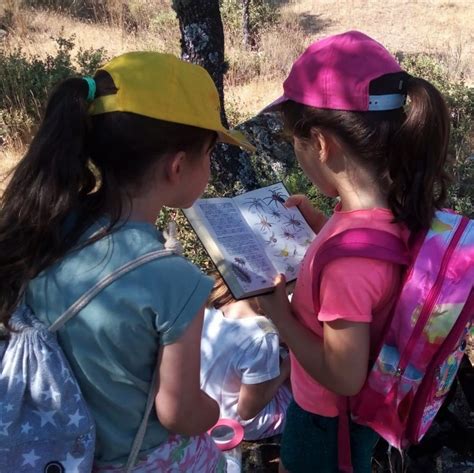 Campamentos Ocio Educativo En La Naturaleza