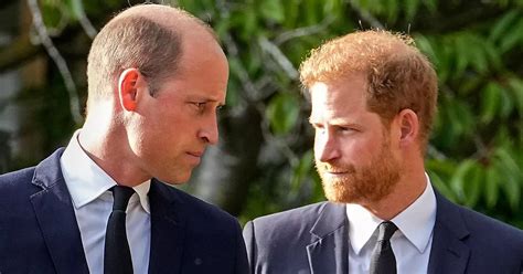 Prince Harry And William S Feud May Have Begun Over A Sausage Claims