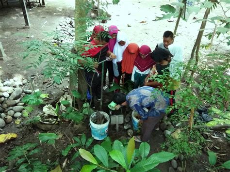 Siswa Sdn Bontonompo Belajar Lingkungan Di Rhd Rumah Hijau Denassa