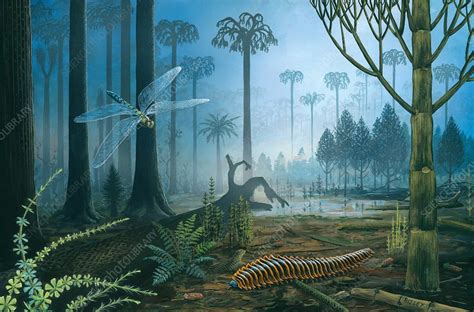 Carboniferous Landscape Illustration Stock Image C