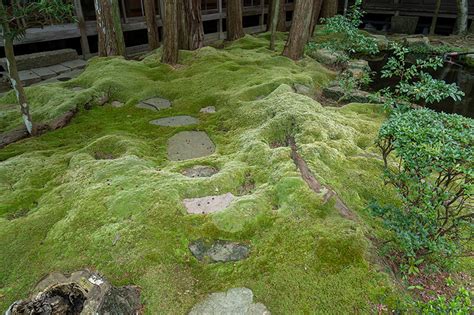 功山寺 苔庭の美しい寺院（山口県下関市） 庭園ガイド