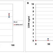 T Reesei Growth Curves Growth Curves Of T Reesei Wild Type Wt And