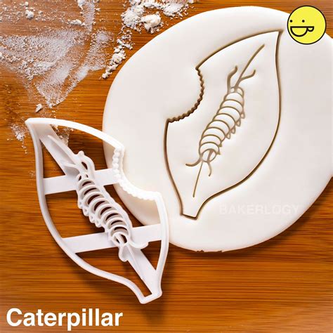 Monarch Butterfly Cookie Cutter Bakerlogy Biscuit Cutters Etsy Uk