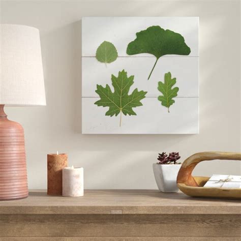 Gracie Oaks Leaf Chart V Shiplap By Wild Apple Portfolio Photograph