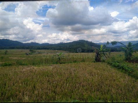 View Of A Java Countryside Indonesia Stock Photo Image Of Adventure