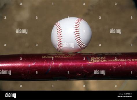 Impact Baseball Bat Physics Sport Hit Distort Shape Power Strength