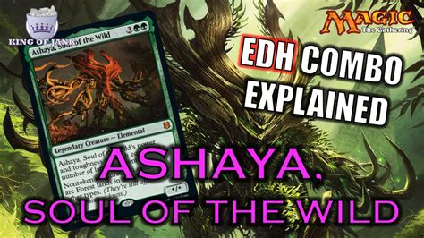 Combo Breakdown Ashaya Soul Of The Wild Zendikar Rising Combo