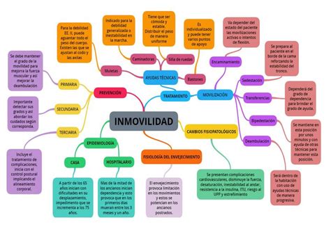 Atención de la Inmovilidad Moly Quito Porras uDocz