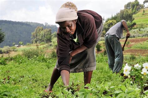 Unpacking The Gender And Inclusion Nexus To Transform The Digital Agriculture Landscape Nex