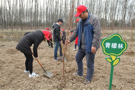 李典镇图册 360百科