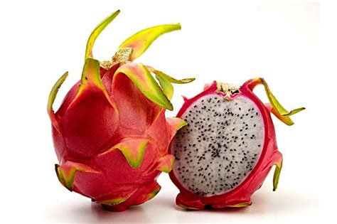 MUDA DE PITAYA BRANCA Asplantas Online