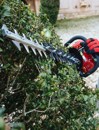 Hedge Trimmers By Shindaiwa New Zealand Shindaiwa New Zealand