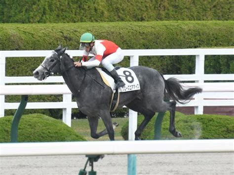 【阪神6r新馬戦結果】クローズユアアイズが内から突き抜け4馬身差圧勝 2021年11月20日掲載 ライブドアニュース