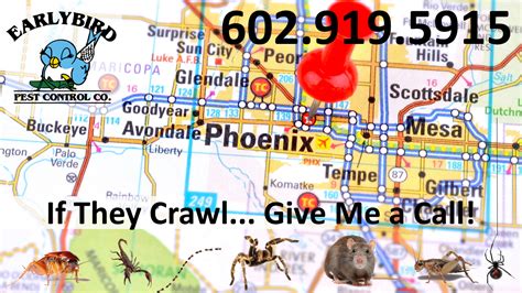 Phoenix Pest Control Scorpion Exterminator Phoenix Arizona