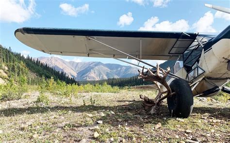 Merchant Stories: Airframes Alaska