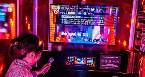 Korean Karaoke A Melodic Journey Into Korean Music Culture About