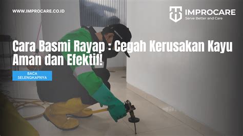 Cara Basmi Rayap Cegah Kerusakan Kayu Aman Dan Efektif PT Mahaka