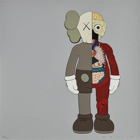 Kaws Red Dissected Companion Red 2006 Art Please