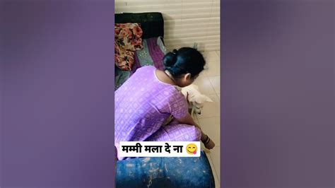 मला पण दे ना मम्मी 💞😃 Dog Viral Funny Youtube